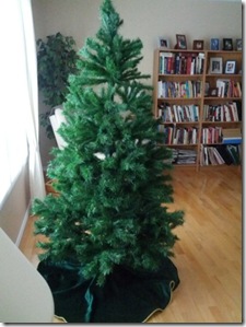 Christmas Tree - December 1, 2012